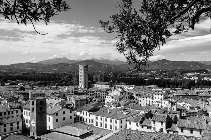 Blick vom Torre Guinigi, Lucca